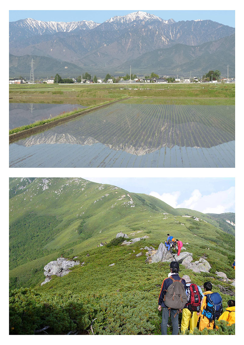 Division of Graduate Education and Research Collaboration