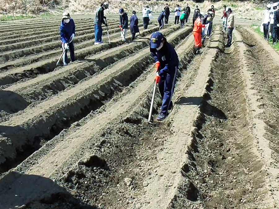 農X実践フィールド写真