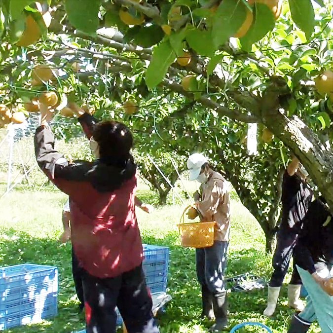 農X実践フィールド写真