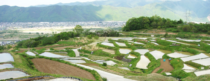 棚田を中心とした文化的景観の構造構築とその活用