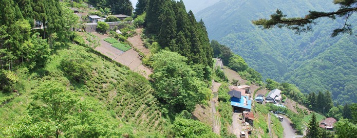 急傾斜地山村における伝統的農業と文化の活用