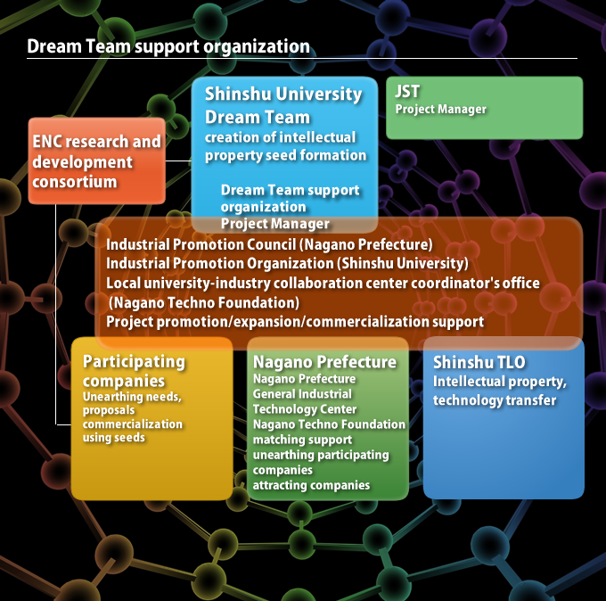 Dream Team support organization