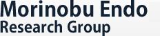 Morinobu Endo Research Group