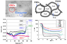 TEM image, model and innovative performance of ENC elastomer alloy/cellulation composites