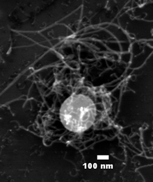 Nitrogen doped carbon nanotubes growth on silicon oxide particles functionalized with iron