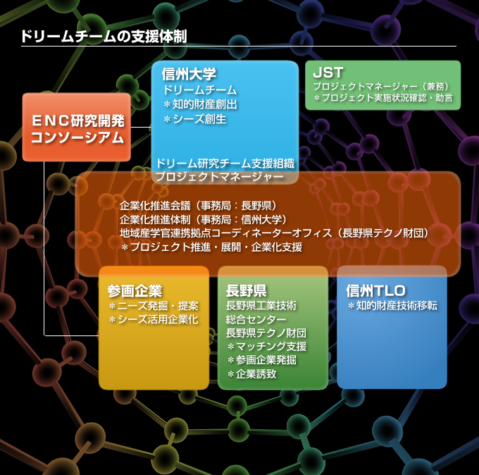 ドリームチームの支援体制