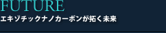 エキゾチック・ナノカーボンが拓く未来