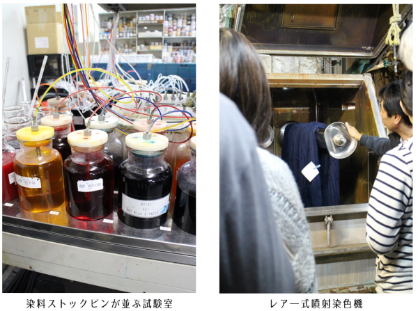 本多染色１.png
