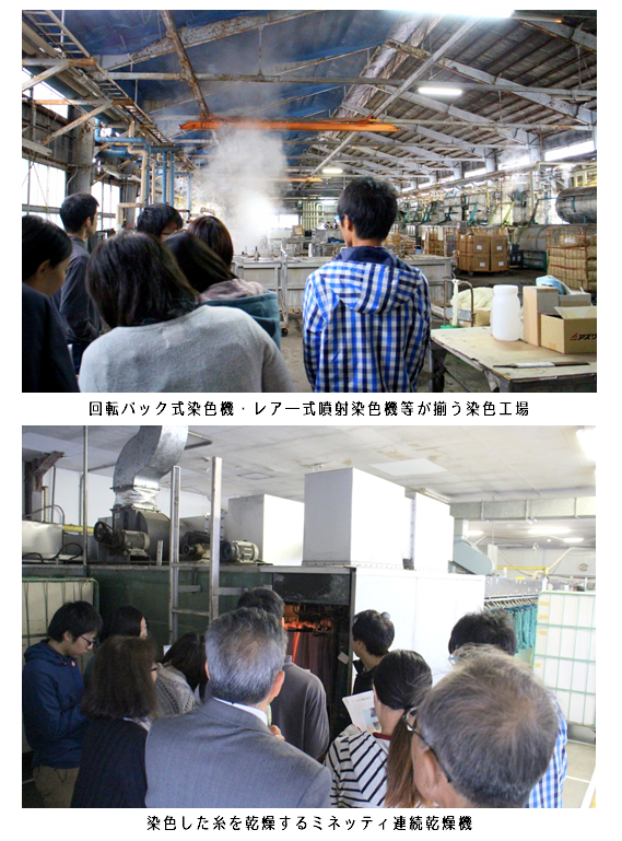 本多染色２.png