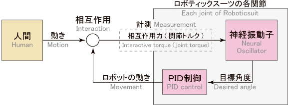 神経振動子を用いた同調制御システムの全体イメージ