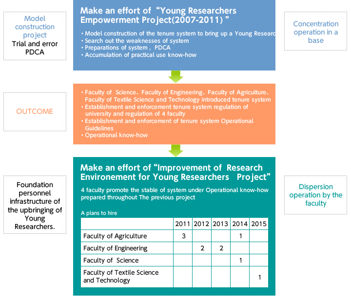 Summary of approach to Tenure System