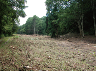 志平川災害地の通過領域