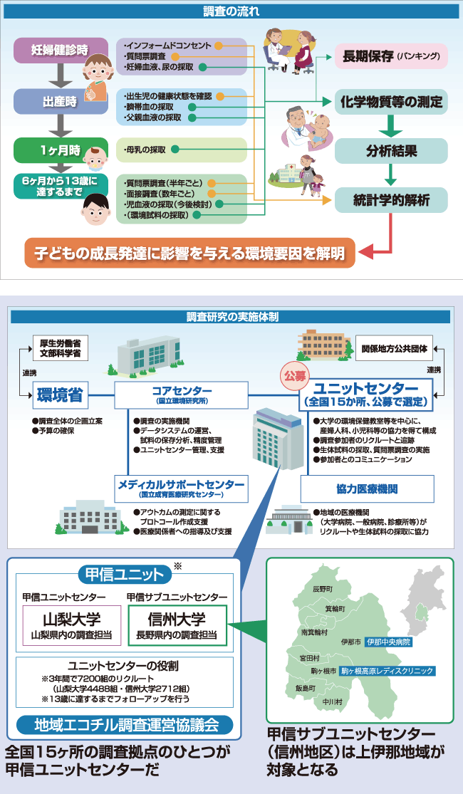 エコチル調査の流れと調査研究の実施体制