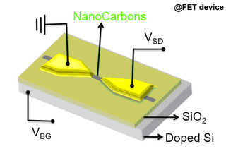 ナノカーボンを基本素材とした3端子FET（電界効果トランジスタ）