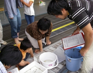 水辺の観察会