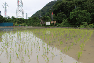 信大茂菅Faming Village