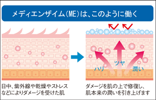 肌本来の潤い力を引き出す仕組み