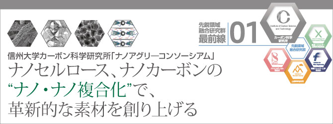 ナノセルロース、ナノカーボンの“ナノ・ナノ複合化”で、革新的な素材を創り上げる