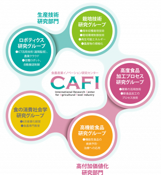 cafi2017_04.png