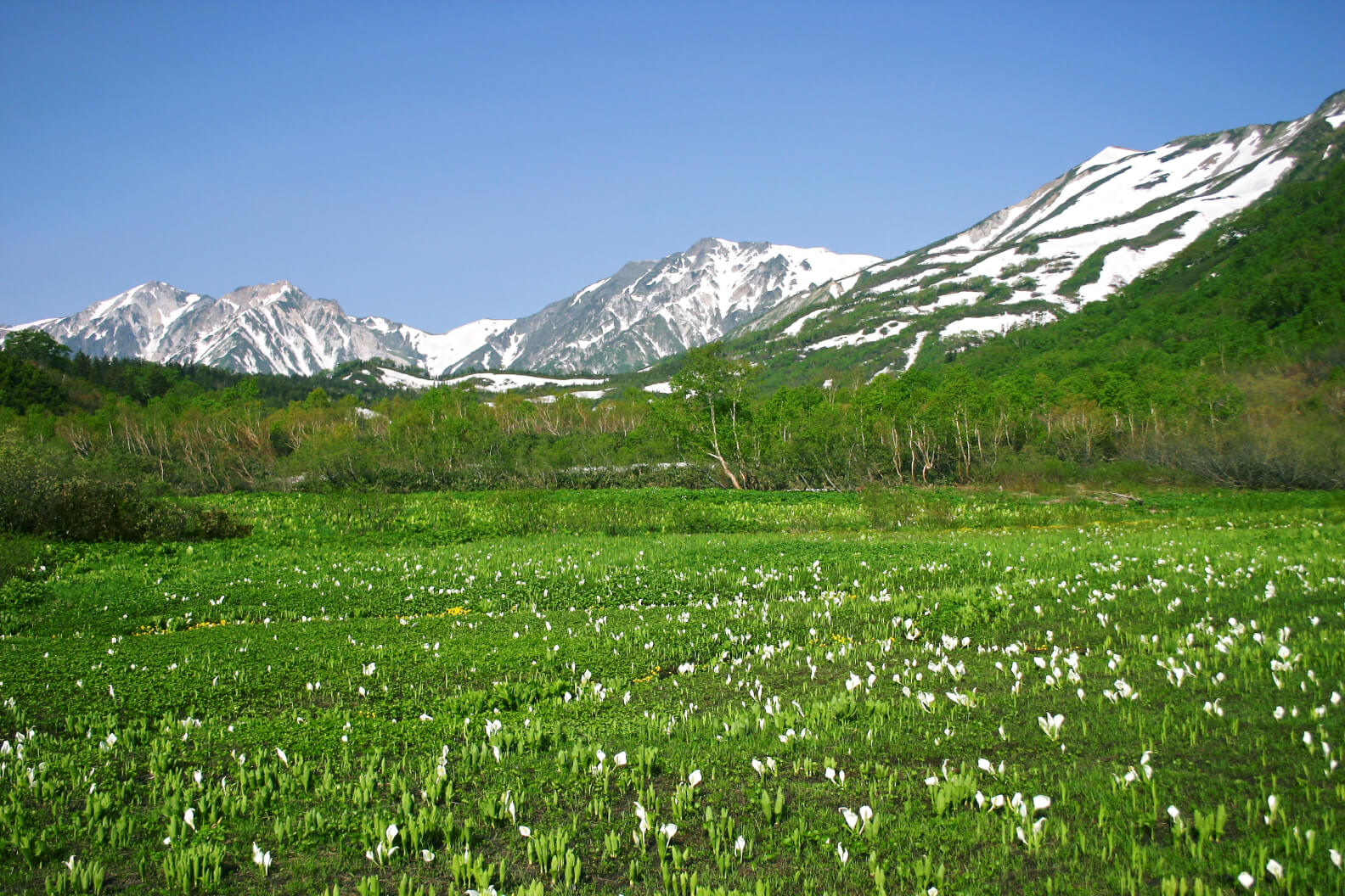 Tsugaike Nature Park - Hakuba