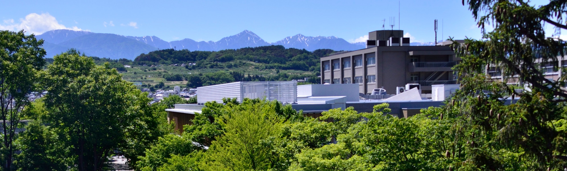 Shinshu University