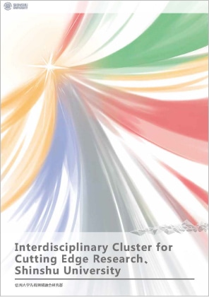 Interdisciplinary Cluster for Cutting-Edge Research (ICCER)