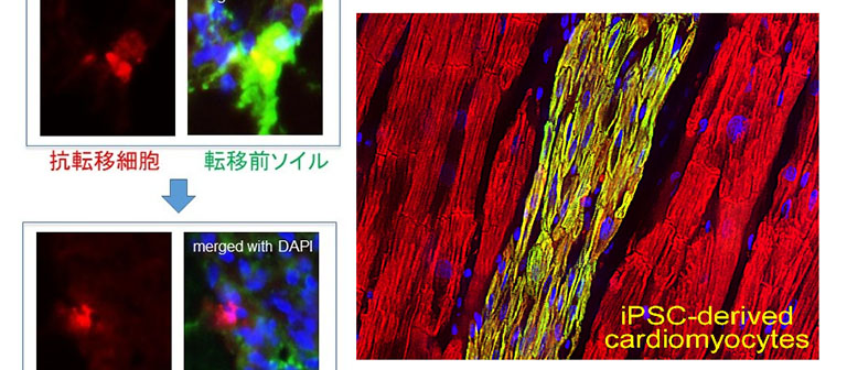 Institute for Cell and Gene Therapy