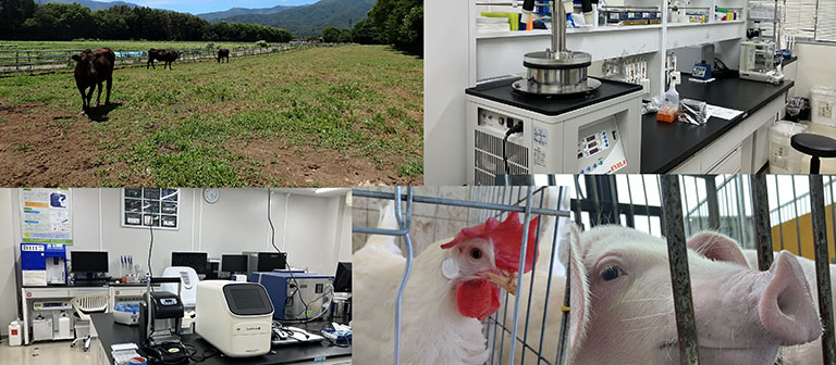 Institute for Food Design and One Health Studies