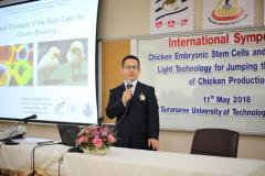 20190325_chicken2.jpg