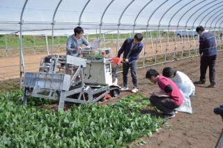 Interdisciplinary Agricultural Research Group.jpg