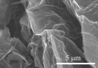 sem-image-.jpg