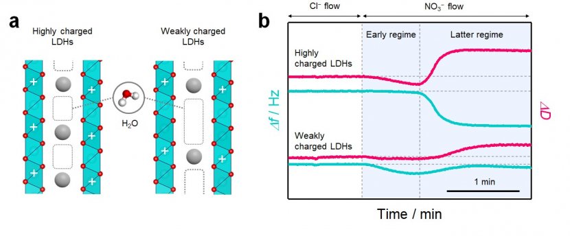 fig.2.jpg