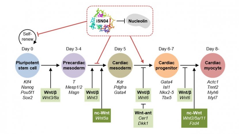 figure_5.jpg