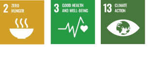sdgs_2_3_13.png