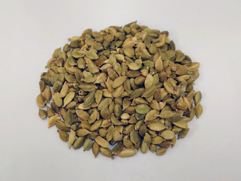 Image_1_cardamom_seedsS.jpg