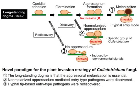 Press_Release_Image_1.jpg