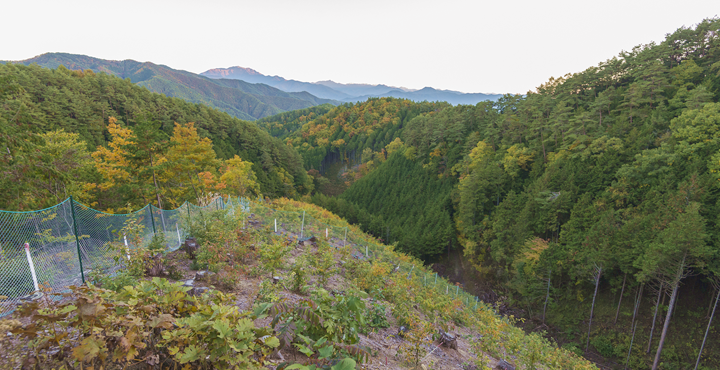 手良沢山ステーション