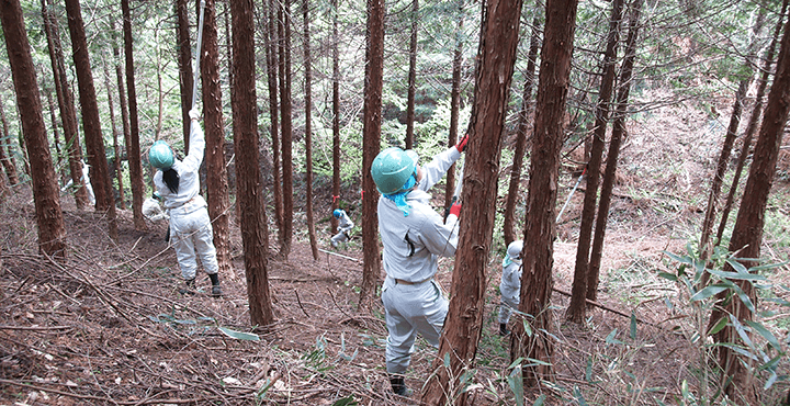 手良沢山ステーション