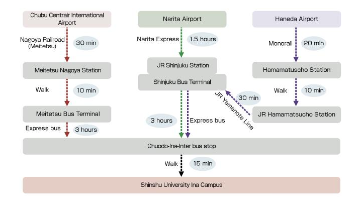 International Arrivals