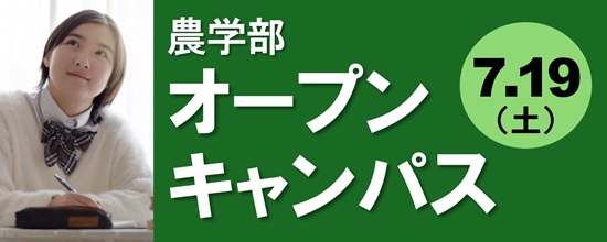 opencampus2025_banner.jpg