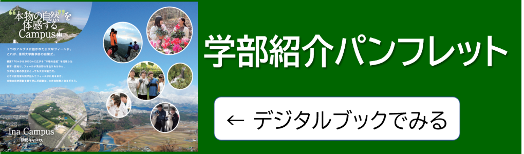 学部紹介パンフレットリニューアルしました