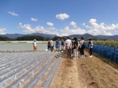 高原野菜生産農家見学（川上村）