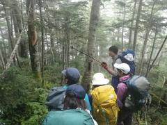 登山中は山岳環境における森林植生への理解を深める