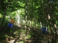H30年度自然の成り立ちと山の生業演習：ヒノキ人工林にて枝打ち