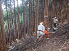 H30年度森林利用デザイン演習：チェーンソーによる伐倒作業