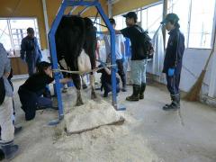 平成30年度高冷地動物生産生態学演習