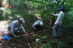 植生断面調査（10月5日）：簡易レベル測量と立木調査