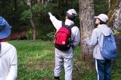 植生図の作成（10月6日）：戸谷川の河畔林にて