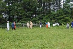 令和元年度高冷地動物生産生態学演習