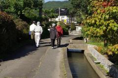 東山山麓の用水路の見学（10月3日）